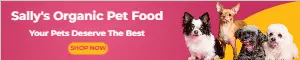 Sally's Organic Pet Food Display Ad