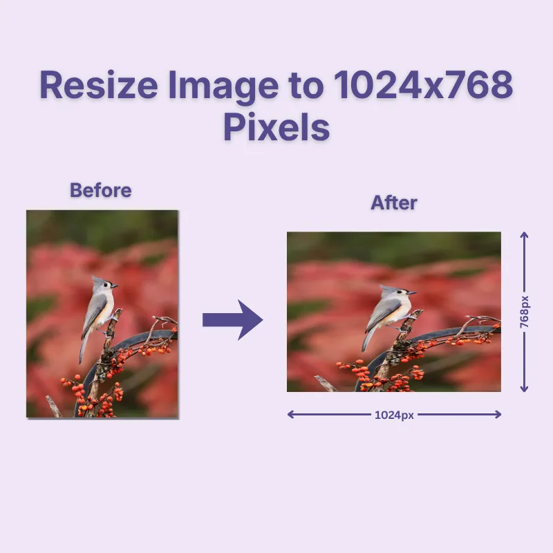 1024x768