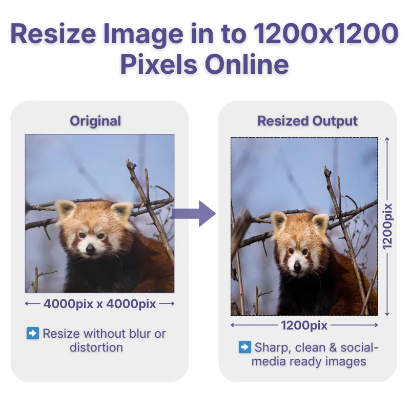 resize-image-to-1200x1200