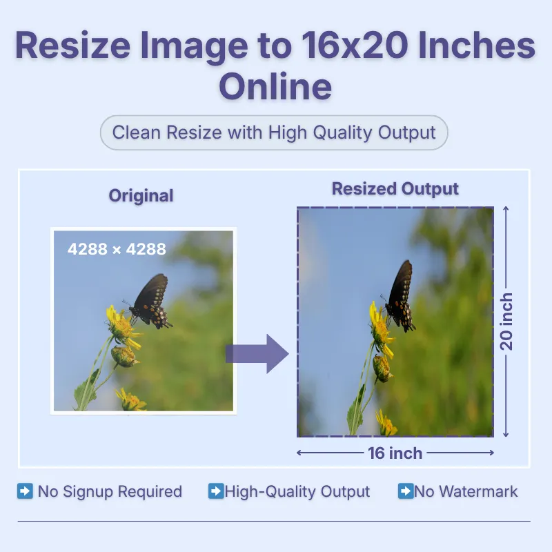 resize-image-to-16x20