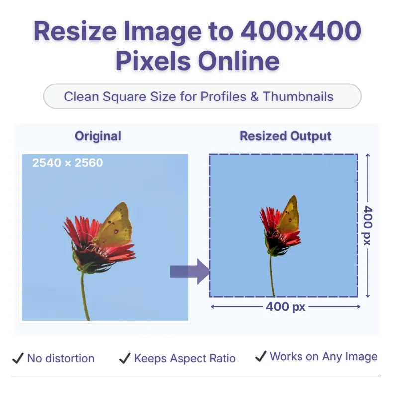 resize-image-to-400x400