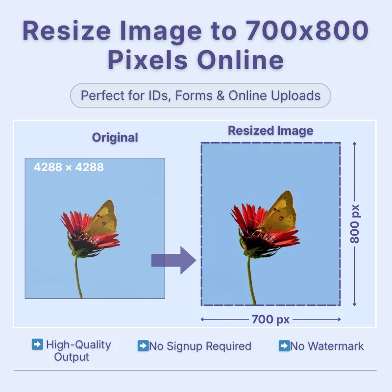 resize-image-to-700x800