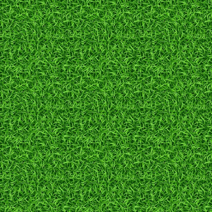 grass-2