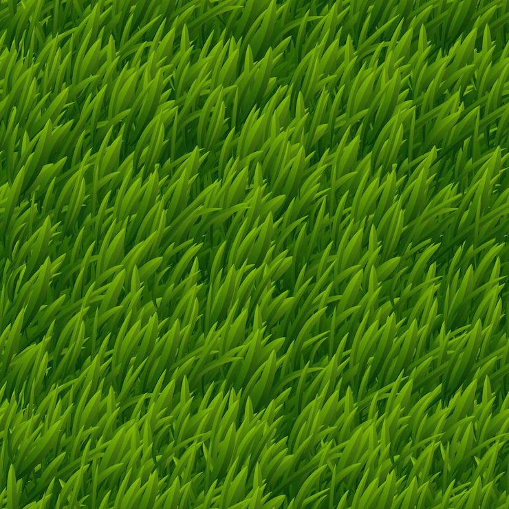 grass-3