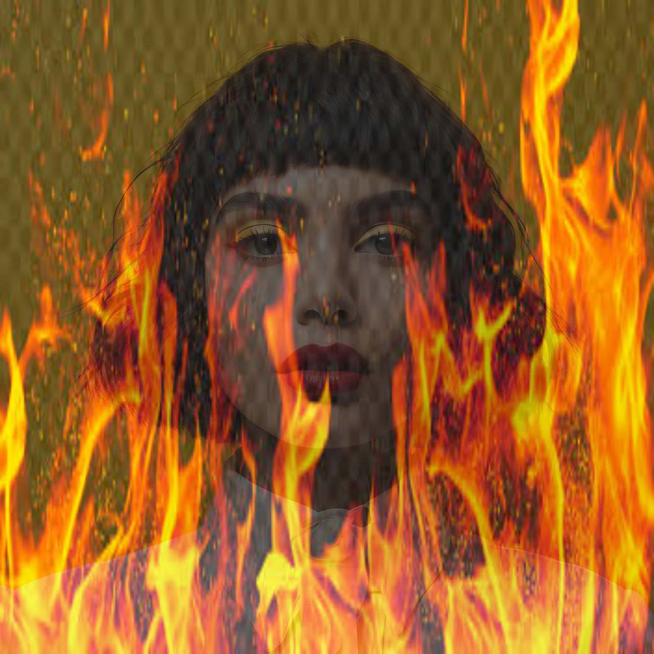 Fire Filter