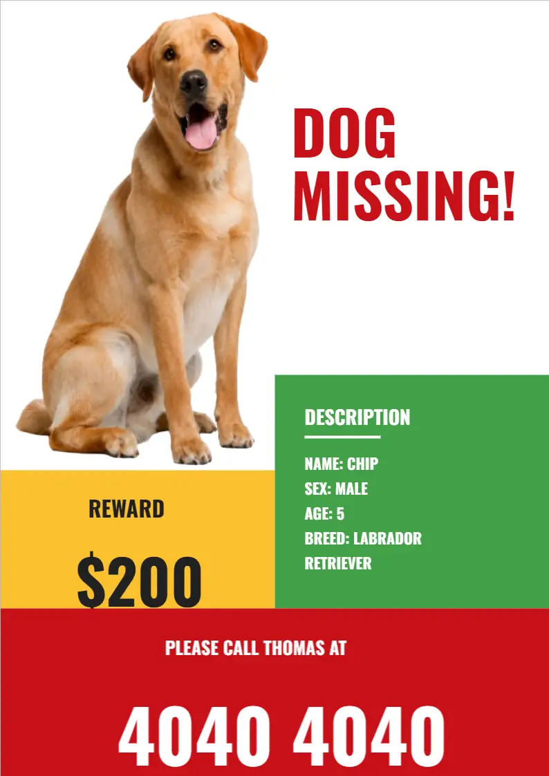 Dog Missing Pet Notice Flyer