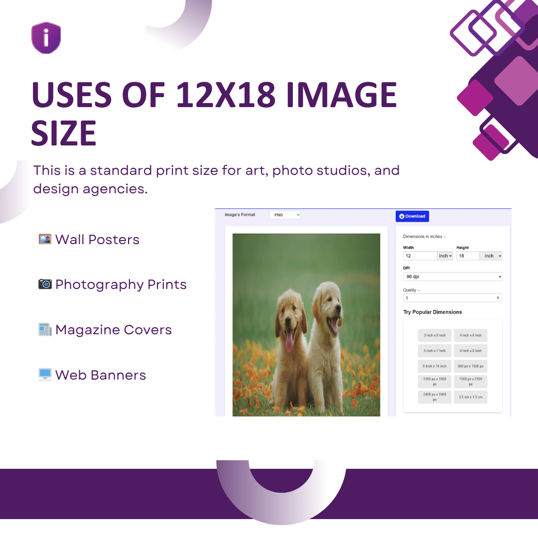 Uses of 12x18 images like posters and prints